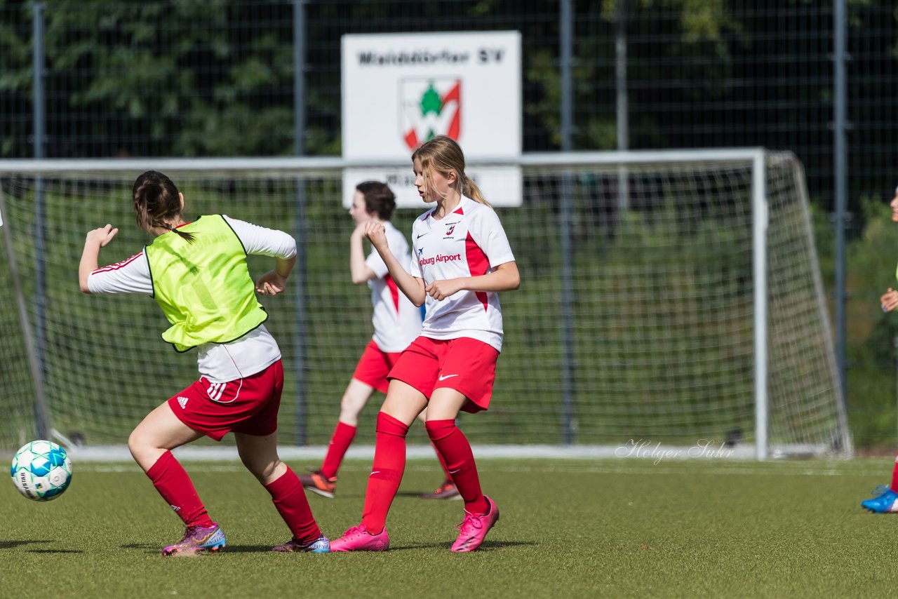 Bild 149 - wCJ Walddoerfer - Concordia : Ergebnis: 0:1